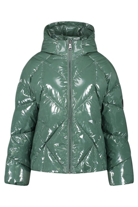 HOLLY SHINY PUFFER GARDEN GREEN 1