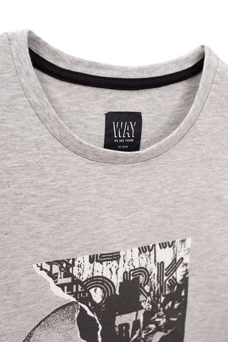 BOYS’ GREY DOUBLE IMAGE AND FLOCKED T-SHIRT GREY 5