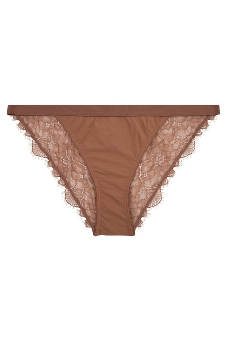 WILD ROSE BRIEF MBROWN 2
