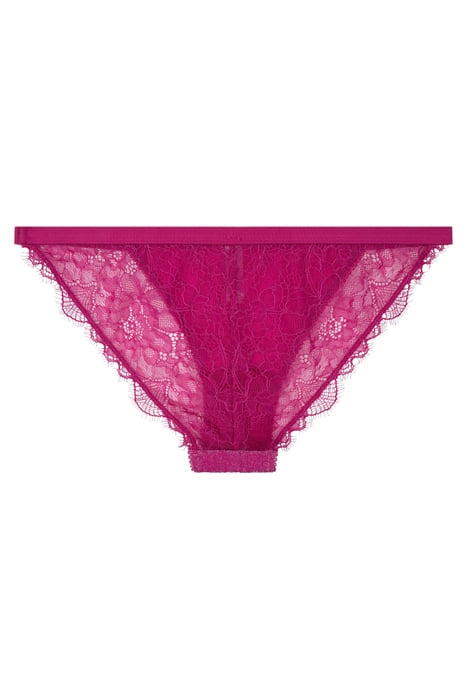 WILD ROSE BRIEF HOT PI 2