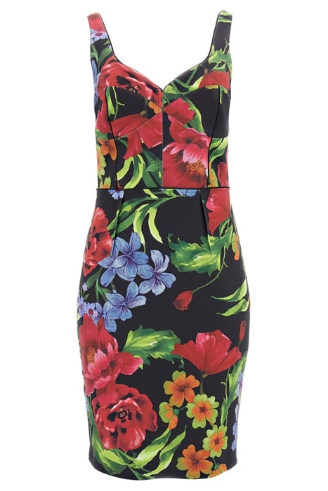 BOLDLY BLOOMING BODY BOLDLY BLOOMING PRIN 5