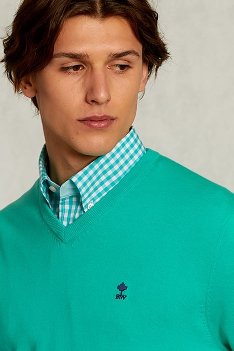 NORMAL FIT BASIC COTTON V-NECK PULLOVER MOSCOW MULE GREEN 4