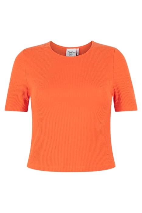 ELYNE T-SHIRT GINGER 3