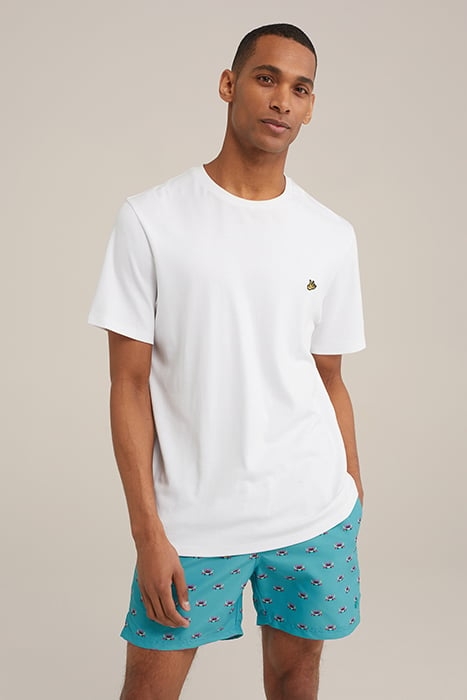 BEACH SHORT GREEN BLUE 5