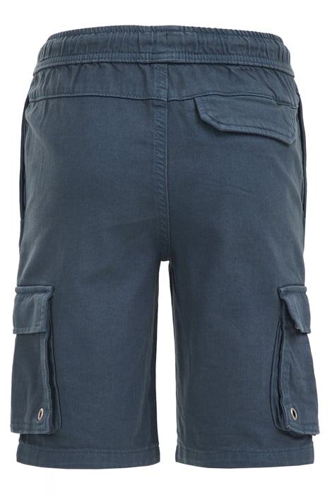CARGO PANTS GREYISH BLUE 4