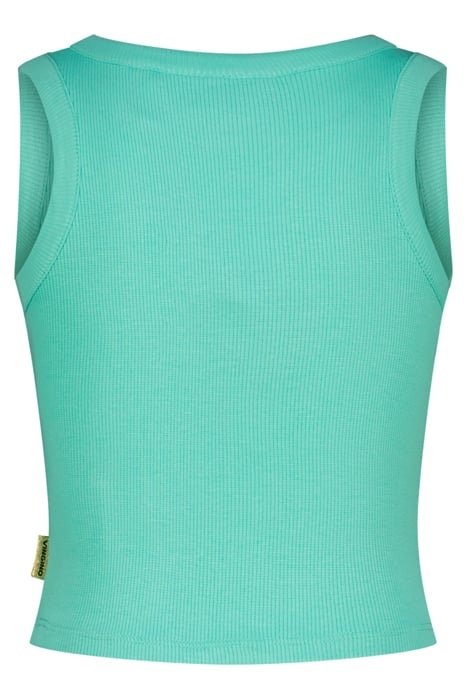JEVA TROPIC MINT 2