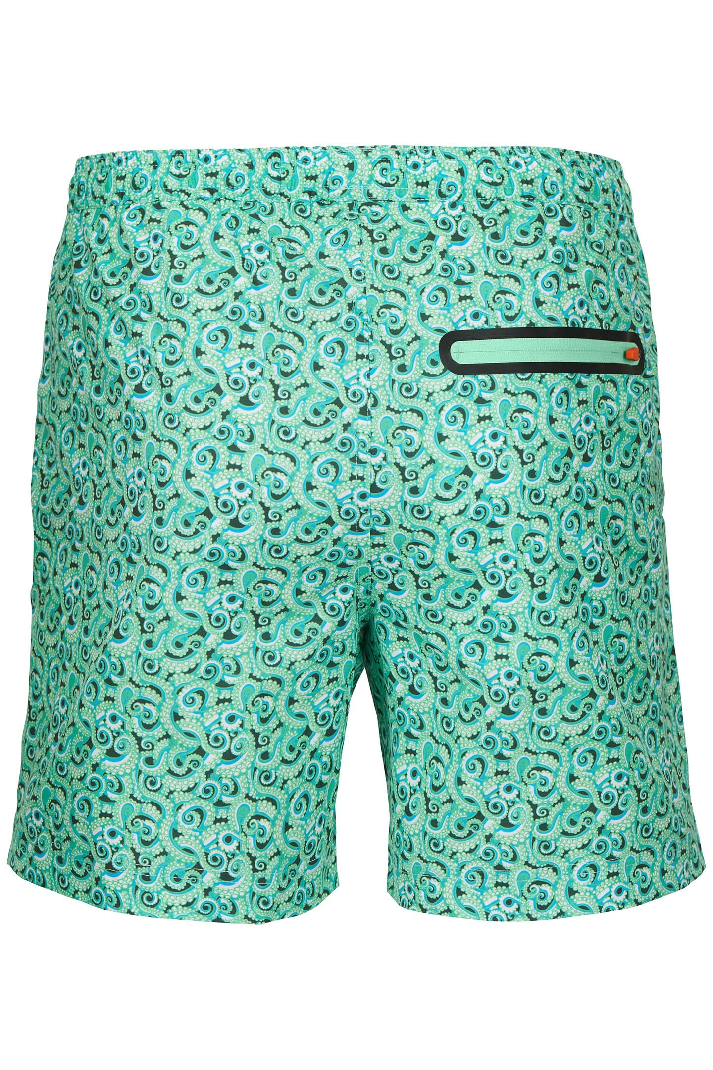 POLPO SWIM SHORT THYME 2