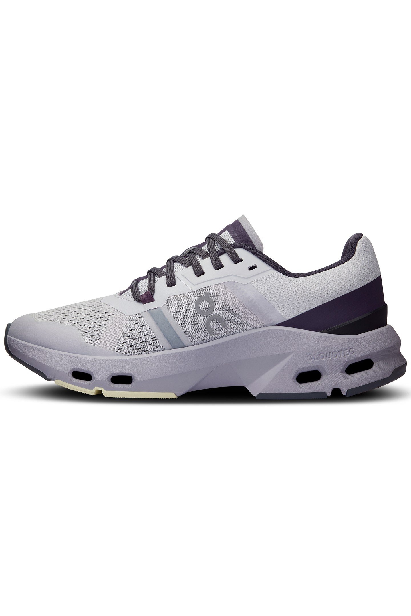 CLOUDPULSE 1 LAVENDER SEEDLING 6