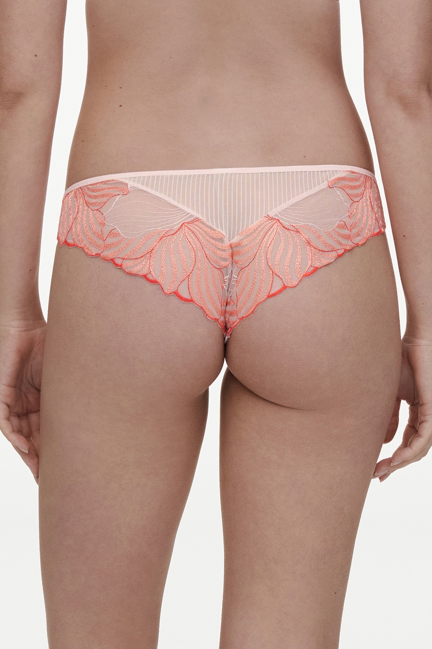 LEGEND TANGA MULTICOLOR 2