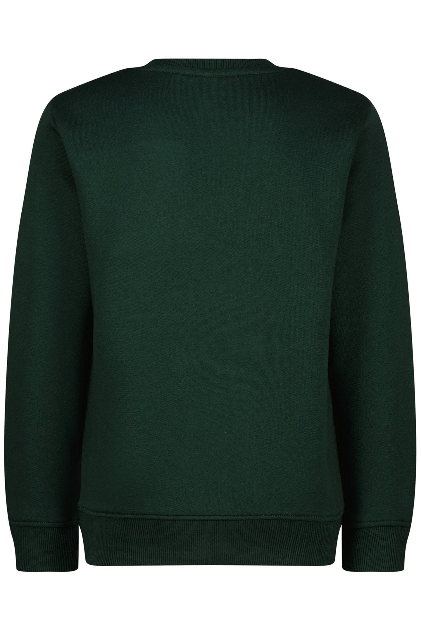 BOYS BASIC-CREW SWEATER RACING GREEN 2